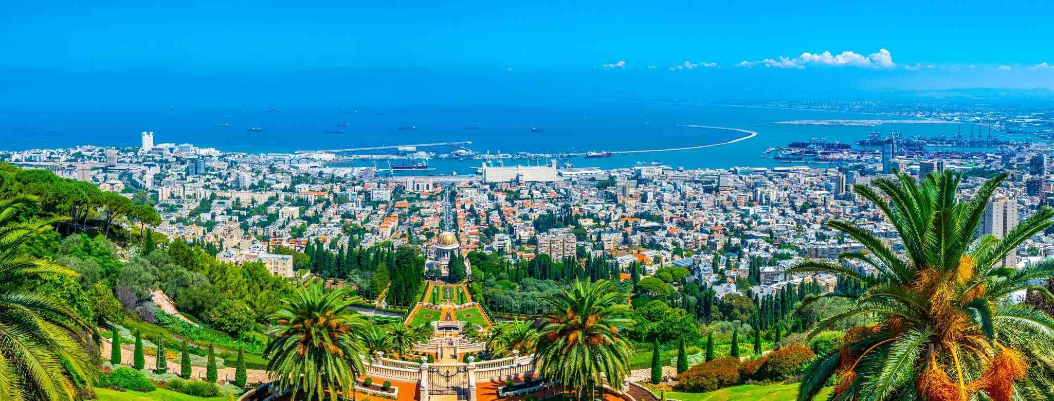 גיזום עצים בחיפה