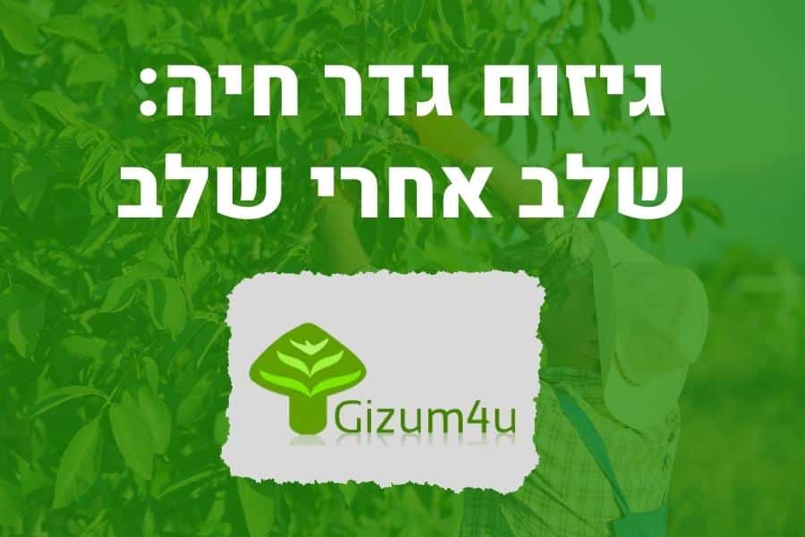 גיזום גדר חיה