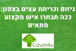 גיזום וכריתת עצים בצפון