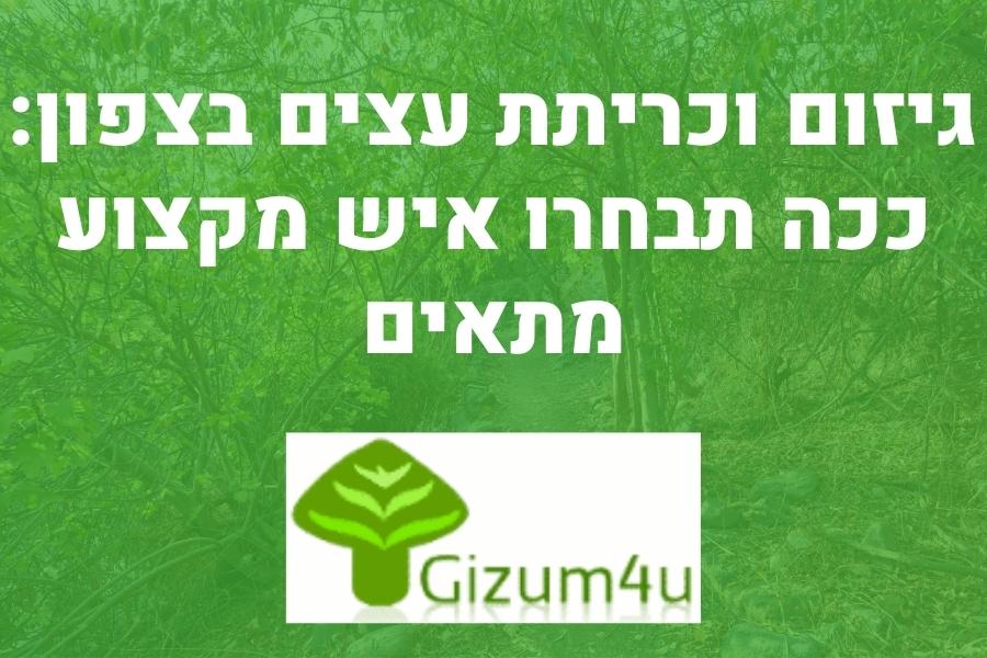 גיזום וכריתת עצים בצפון
