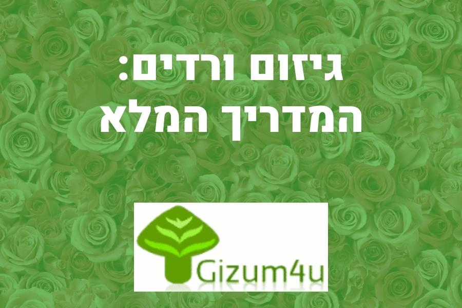 גיזום ורדים