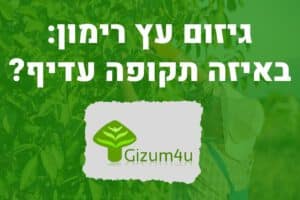 גיזום עץ רימון