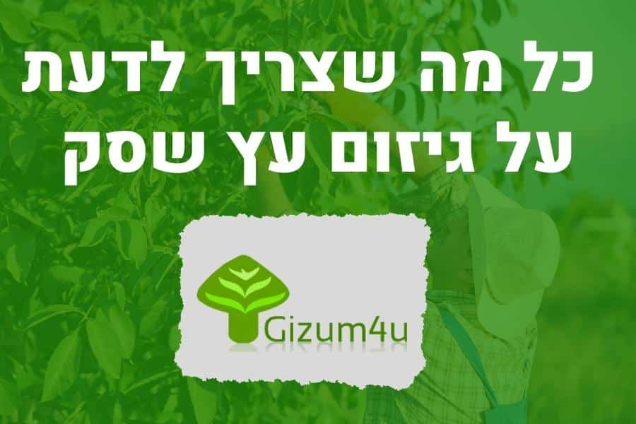 גיזום עץ שסק