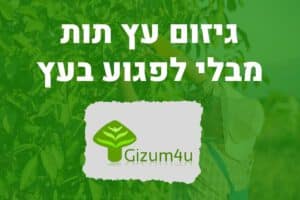גיזום עץ תות