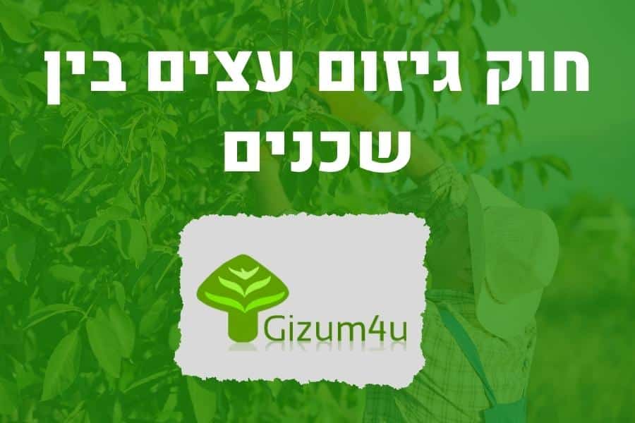 חוק גיזום עצים בין שכנים