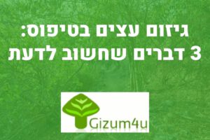גיזום עצים בטיפוס