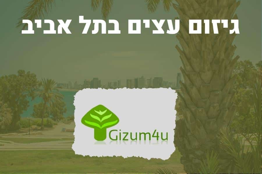 גיזום עצים בתל אביב - תמונה ראשית