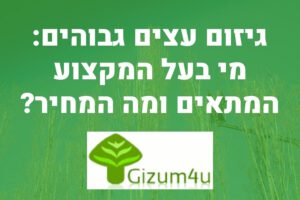 גיזום עצים גבוהים