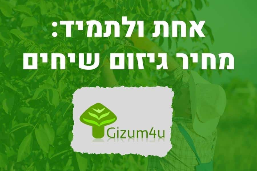 גיזום שיחים מחיר