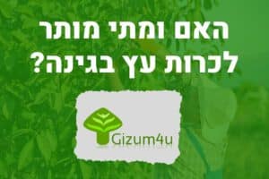 האם ומתי מותר לכרות עץ בגינה
