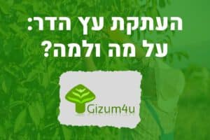 העתקת עץ הדר