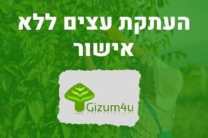 העתקת עצים ללא אישור