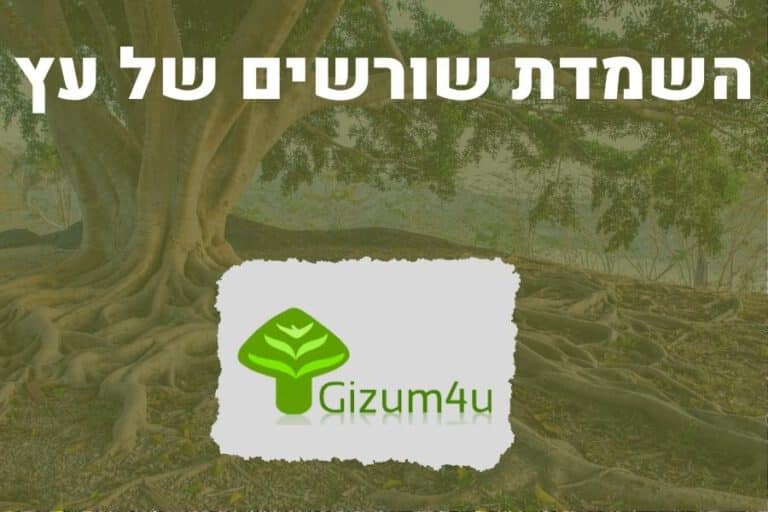 השמדת שורשים של עץ - תמונה ראשית