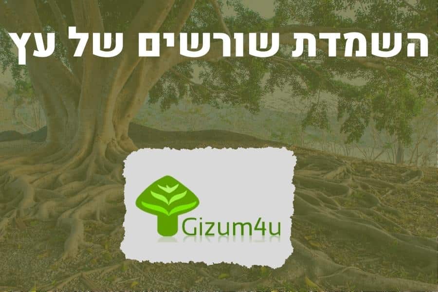 השמדת שורשים של עץ - תמונה ראשית