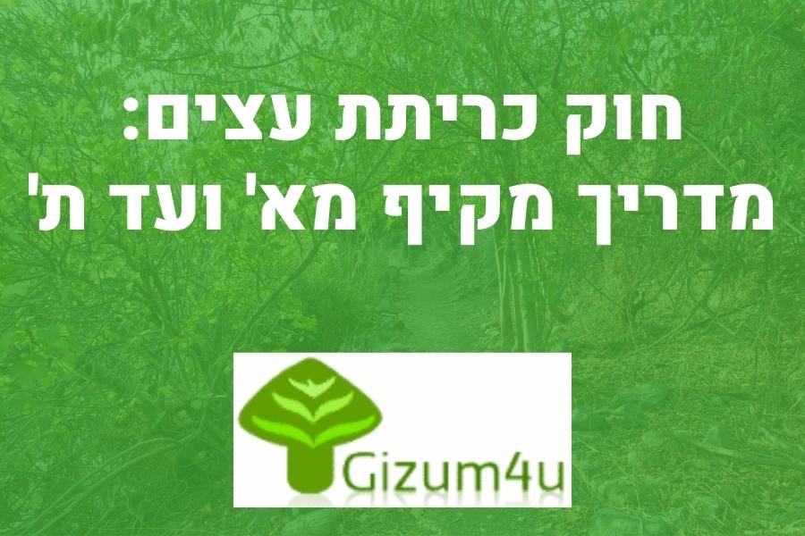 חוק כריתת עצים בישראל