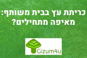 כריתת עץ בבית משותף
