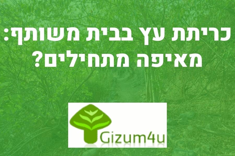 כריתת עץ בבית משותף