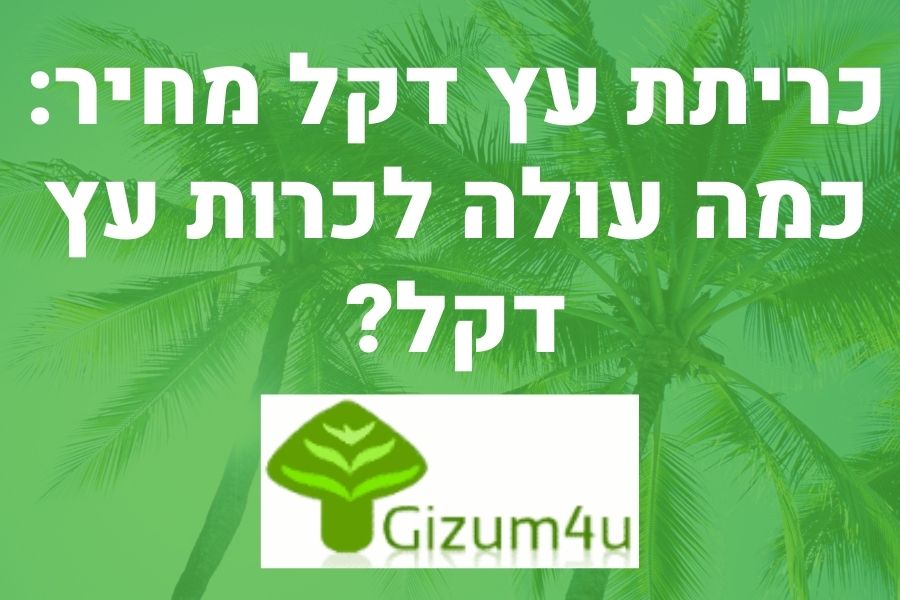כריתת עץ דקל מחיר - כמה עולה לכרות עץ דקל?