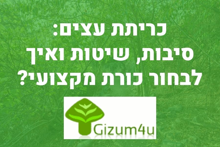 כריתת עצים באנר