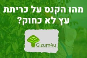 מהו הקנס על כריתת עץ לא כחוק