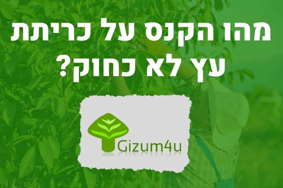 מהו הקנס על כריתת עץ לא כחוק