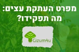 מפרט העתקת עצים
