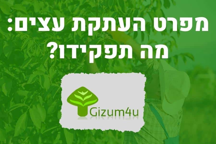 מפרט העתקת עצים