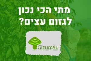 מתי הכי נכון לגזום עצים