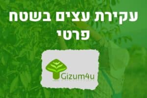 עקירת עצים בשטח פרטי