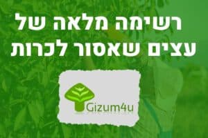 רשימה מלאה של עצים שאסור לכרות